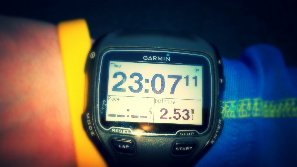 garmin forerunner 645 firmware